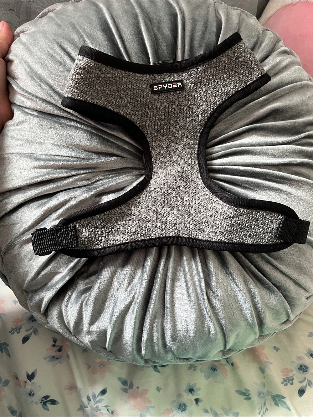Spyder Heather Gray Dog Harness with Black Trim